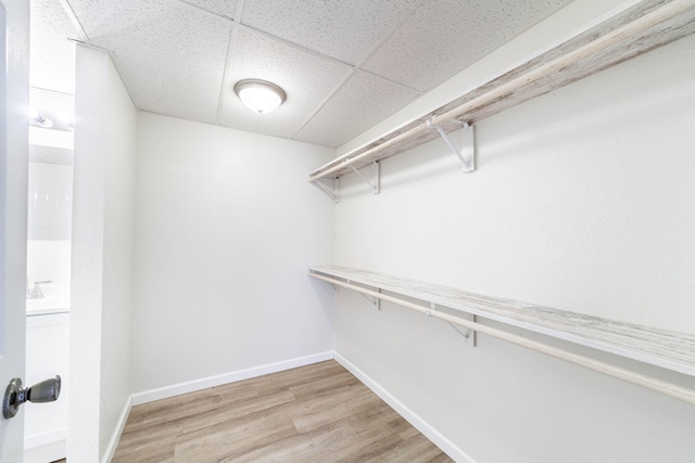 1601 Telluride Ln, Columbia, MO 65201 - photo 9