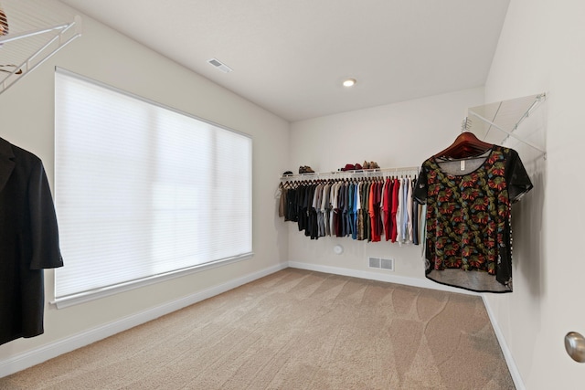2821 Clopton Ct, Columbia, MO 65203 - spacious closet featuring carpet flooring