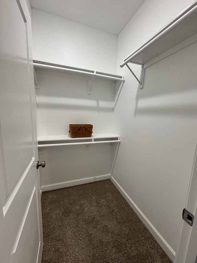 921 S Columbia St, Centralia, MO 65240 - spacious closet featuring dark colored carpet