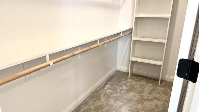717 Angels Rest Way, Columbia, MO 65203 - walk in closet with carpet flooring