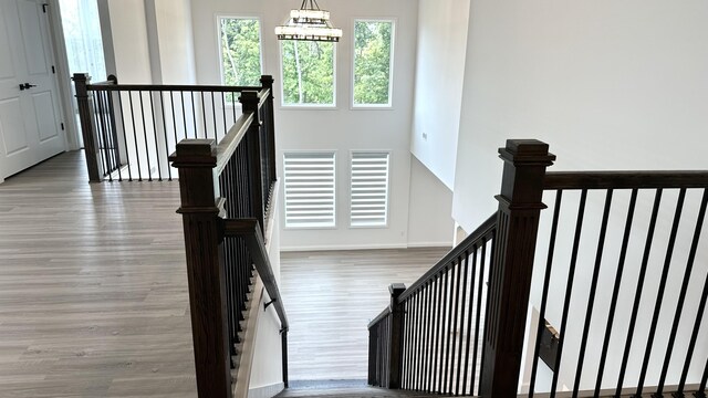 717 Angels Rest Way, Columbia, MO 65203 - staircase with wood finished floors and a chandelier