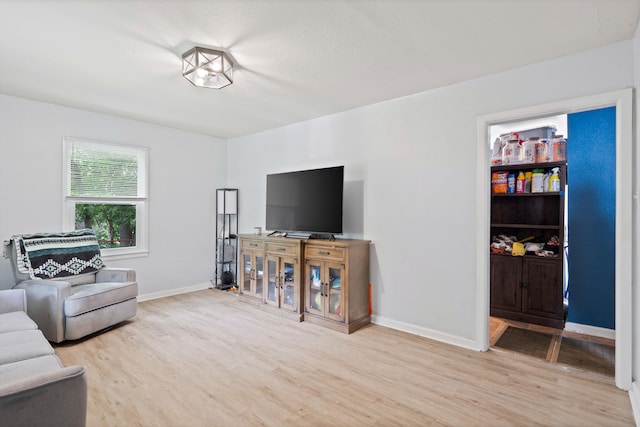 1305 Sims St, Columbia, MO 65201 - living room with light wood-type flooring