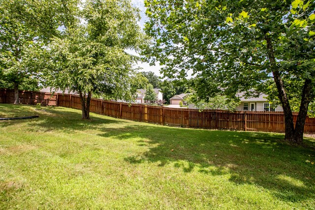 4008 Iguana Dr, Columbia, MO 65202 - photo 38