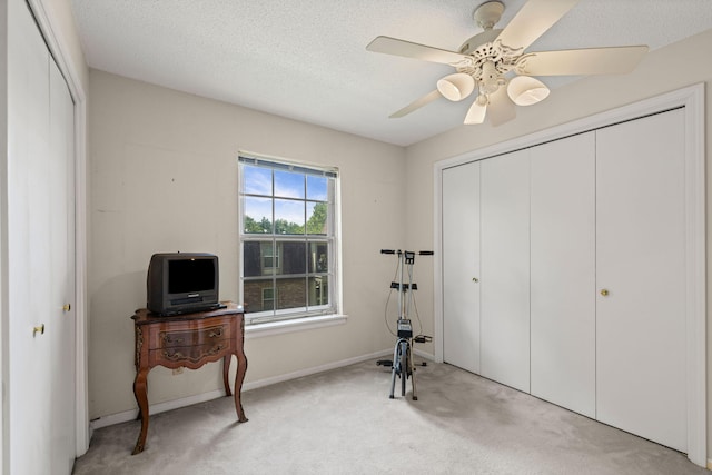 2710 Rollins Rd Unit A-1, Columbia, MO 65203 - workout area with light carpet and a ceiling fan