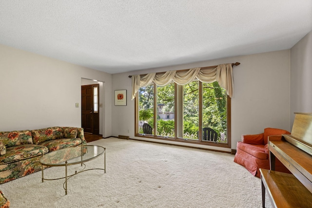 3707 Woodridge Ct, Columbia, MO 65201 - living area featuring carpet floors and a textured ceiling