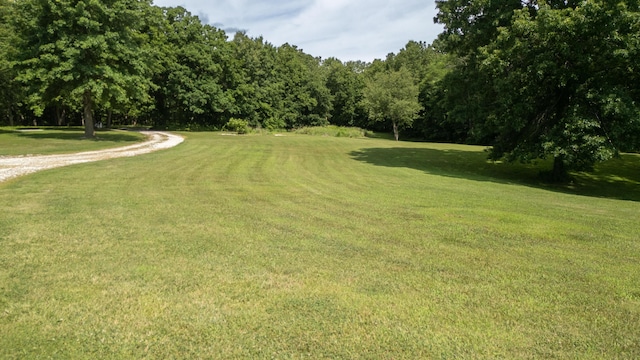 1330 County Road 2663, Clark, MO 65243 - photo 2