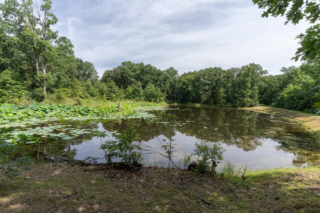 1330 County Road 2663, Clark, MO 65243 - photo 33