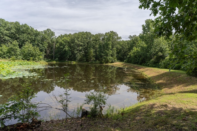 1330 County Road 2663, Clark, MO 65243 - photo 34