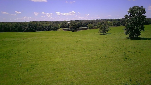 TRACT12 S Hagans Rd, Ashland, MO 65010 - photo 2