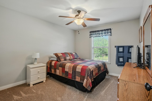 3302 Granite Creek Dr, Columbia, MO 65202 - photo 24