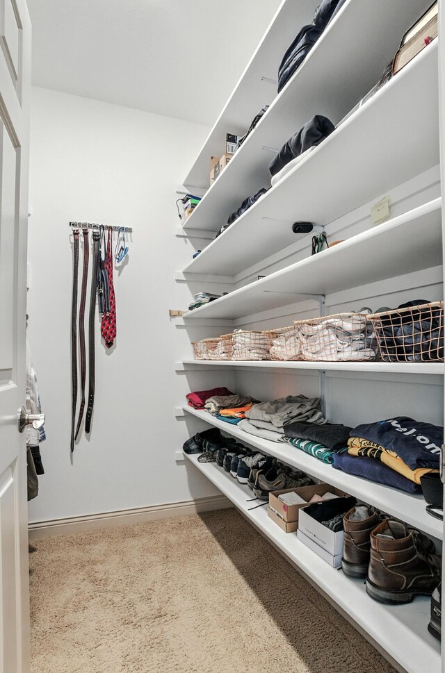 4106 Fritz Ct, Columbia, MO 65203 - view of walk in closet