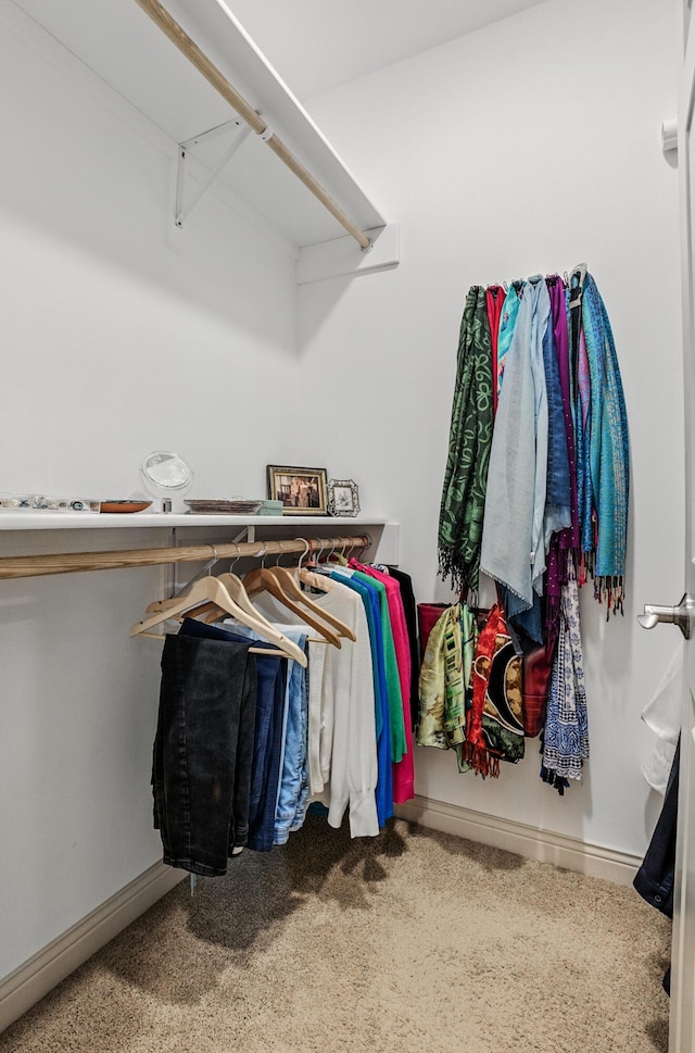 4106 Fritz Ct, Columbia, MO 65203 - spacious closet featuring carpet flooring