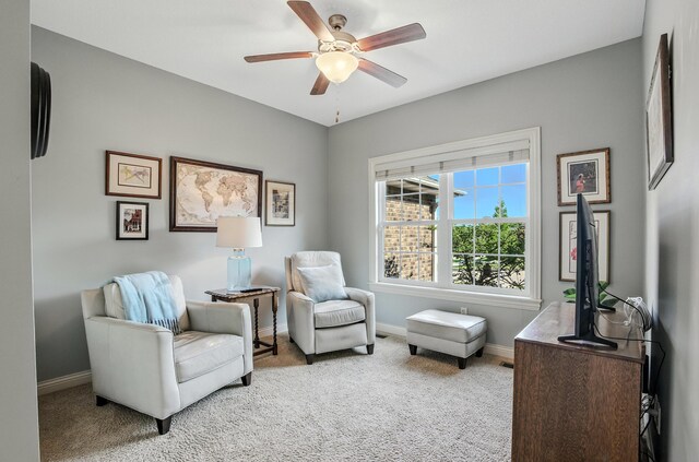 4106 Fritz Ct, Columbia, MO 65203 - sitting room with ceiling fan and light carpet