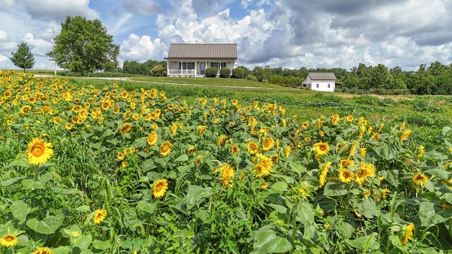 31520 Chapel Hill Rd, Salisbury, MO 63005 - photo 6