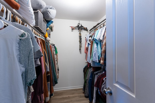 3810 Crocodile Dr, Columbia, MO 65202 - walk in closet with wood finished floors