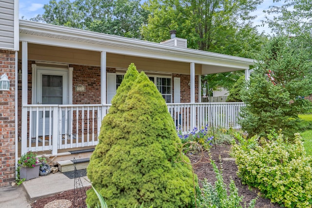 4406 Gage Pl, Columbia, MO 65203 - photo 46