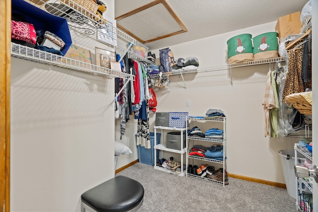 4406 Gage Pl, Columbia, MO 65203 - photo 20