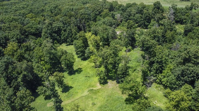 8078 Rhodes Dr, Bunceton, MO 65237 - photo 10