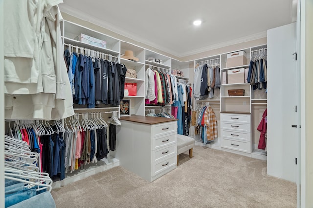 1880 W Cresskill Dr, Columbia, MO 65203 - spacious closet with carpet