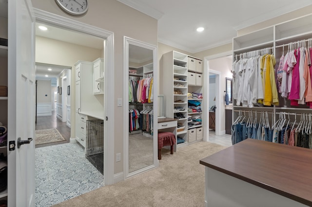 1880 W Cresskill Dr, Columbia, MO 65203 - spacious closet featuring light carpet