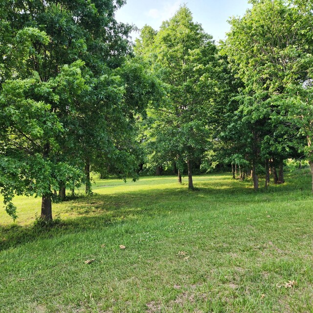 13885 N Frink Rd, Hallsville, MO 65255 - photo 38