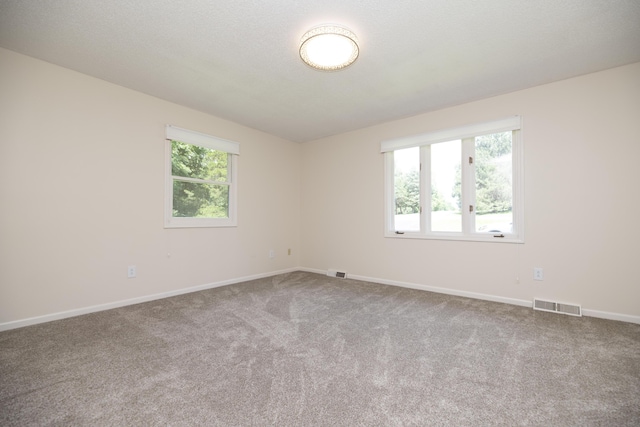 6303 S Old Village Rd, Columbia, MO 65203 - spare room featuring plenty of natural light and carpet