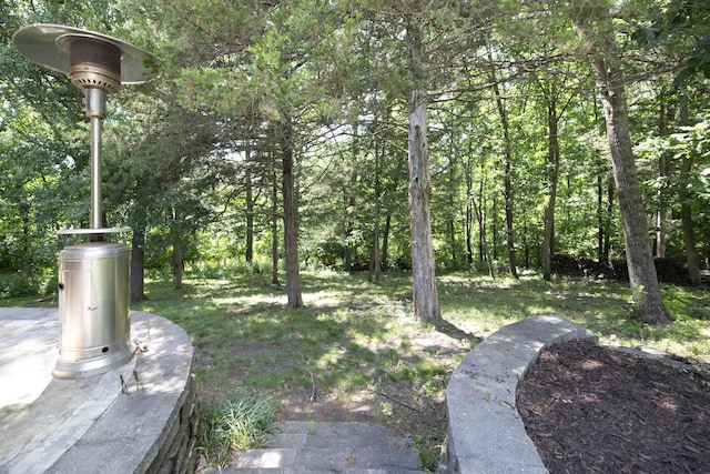 6303 S Old Village Rd, Columbia, MO 65203 - view of yard