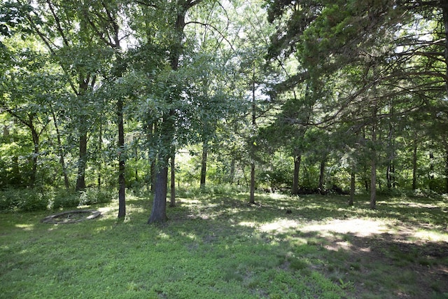 6303 S Old Village Rd, Columbia, MO 65203 - view of wooded area