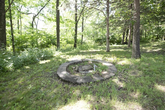 6303 S Old Village Rd, Columbia, MO 65203 - view of yard featuring a forest view