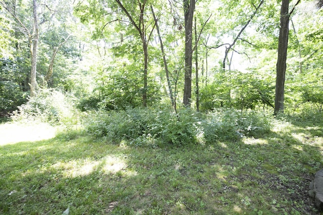 6303 S Old Village Rd, Columbia, MO 65203 - view of tree filled area