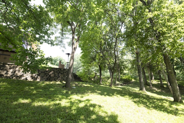 6303 S Old Village Rd, Columbia, MO 65203 - view of green lawn