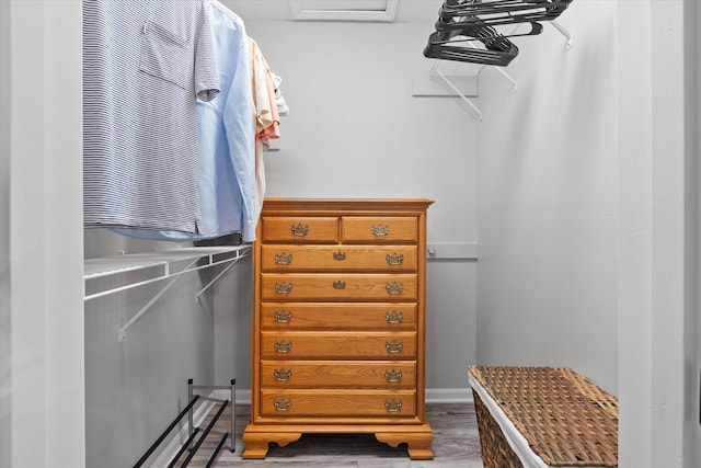 706 Park Deville Pl, Columbia, MO 65203 - walk in closet with wood finished floors