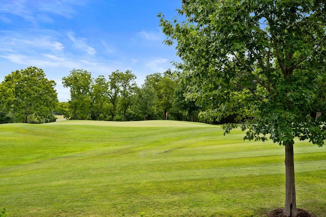 1421 Torrey Pines Dr, Columbia, MO 65203 - photo 2