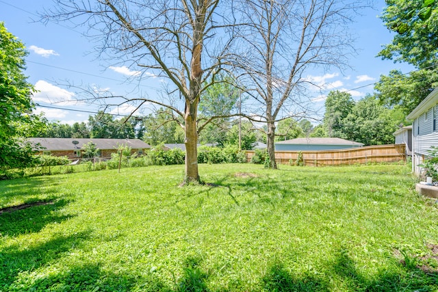 5704 N Teresa Dr, Columbia, MO 65202 - view of yard