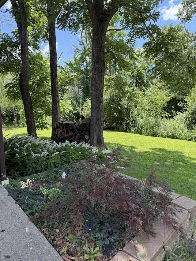 1620 S Berkley Dr, Columbia, MO 65201 - view of green lawn