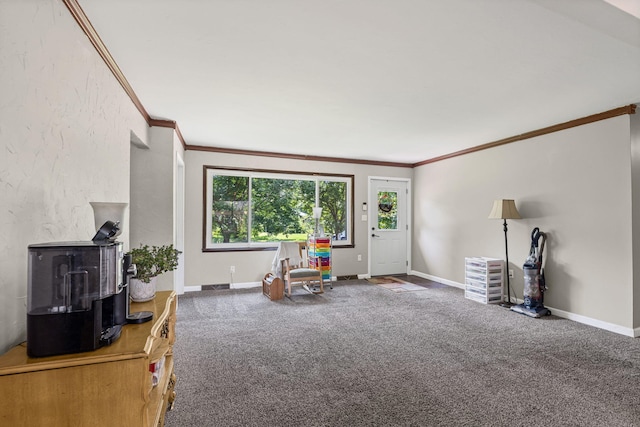 661 N W Park Ln, Columbia, MO 65201 - sitting room featuring a wood stove, carpet flooring, and crown molding
