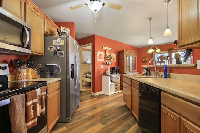 5805 Vero Way, Columbia, MO 65201 - kitchen featuring appliances with stainless steel finishes, dark wood-style floors, a ceiling fan, light countertops, and decorative light fixtures