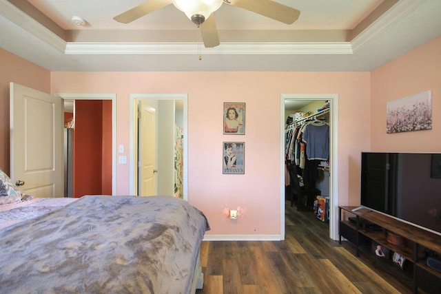 5805 Vero Way, Columbia, MO 65201 - bedroom with a raised ceiling, a spacious closet, dark wood-style floors, ceiling fan, and crown molding