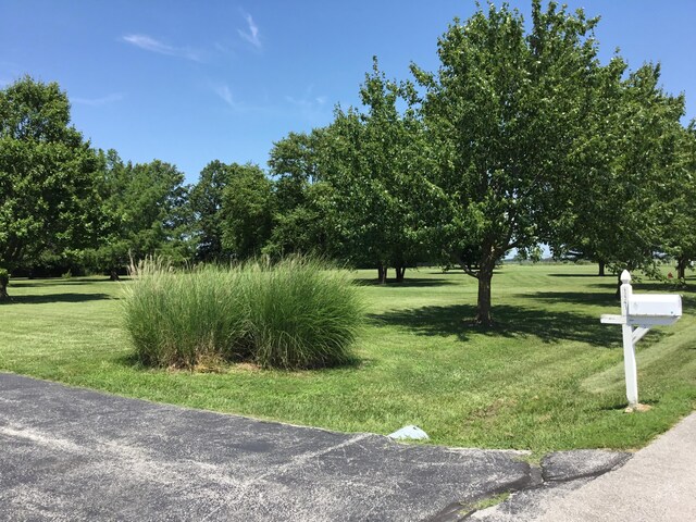 12251 N Nicole Dr, Hallsville, MO 65255 - photo 5