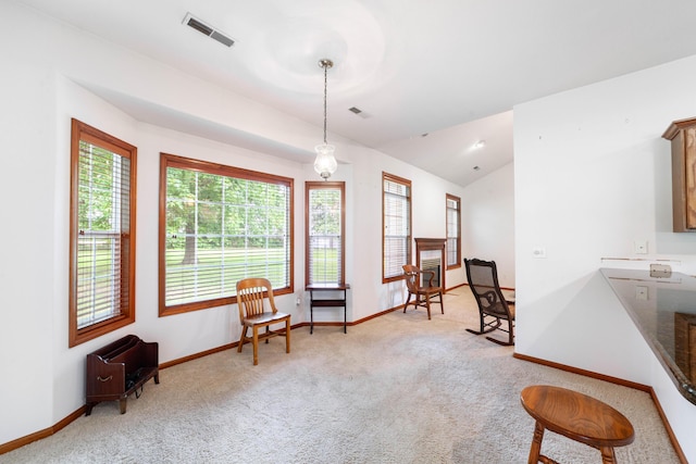 12251 N Nicole Dr, Hallsville, MO 65255 - photo 10