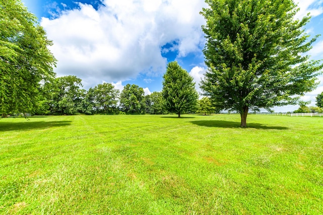 12251 N Nicole Dr, Hallsville, MO 65255 - photo 24