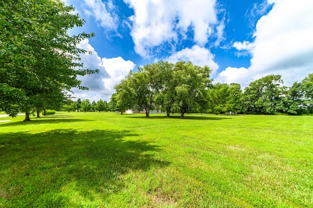 12251 N Nicole Dr, Hallsville, MO 65255 - photo 25