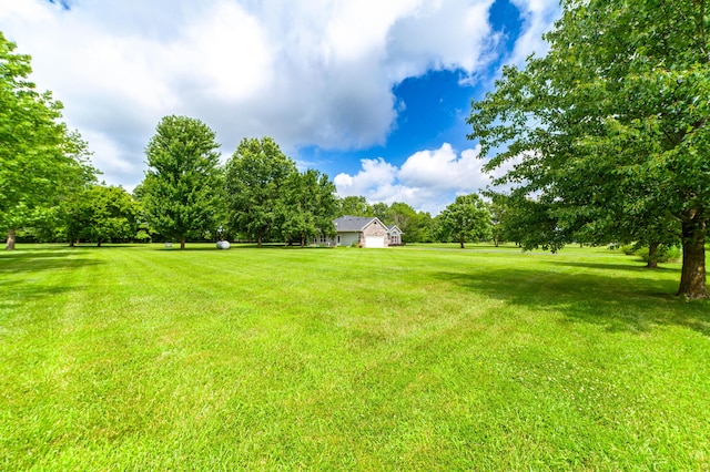 12251 N Nicole Dr, Hallsville, MO 65255 - photo 26