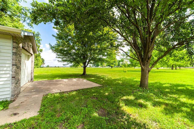 12251 N Nicole Dr, Hallsville, MO 65255 - photo 30