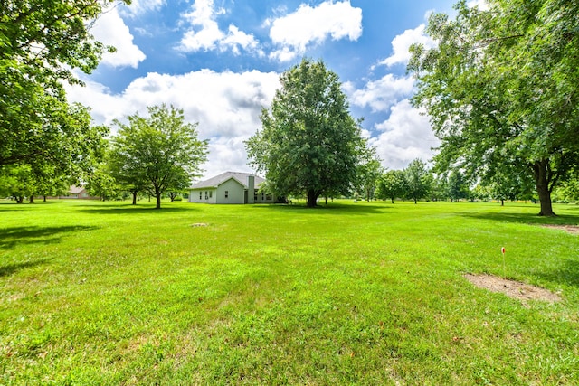 12251 N Nicole Dr, Hallsville, MO 65255 - photo 31