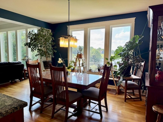 7930 S Ginn Ln, Columbia, MO 65201 - dining space with wood finished floors