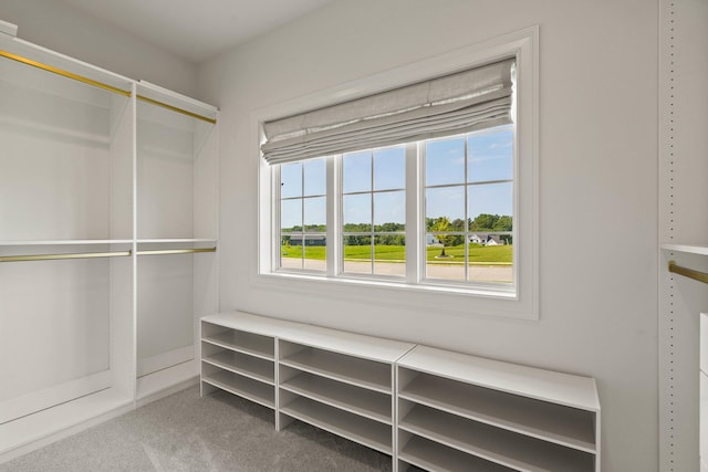 3001 Rivington Dr, Columbia, MO 65203 - spacious closet featuring carpet floors