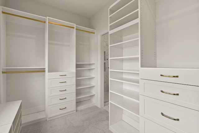 3001 Rivington Dr, Columbia, MO 65203 - walk in closet featuring light carpet