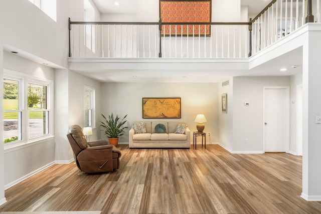 10550 E David Allen Rd, Columbia, MO 65201 - living area with a high ceiling and wood finished floors
