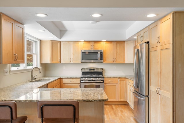 10550 E David Allen Rd, Columbia, MO 65201 - kitchen featuring appliances with stainless steel finishes, light brown cabinetry, a tray ceiling, a peninsula, and recessed lighting